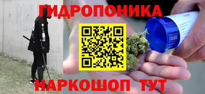 крисы Рузаевка