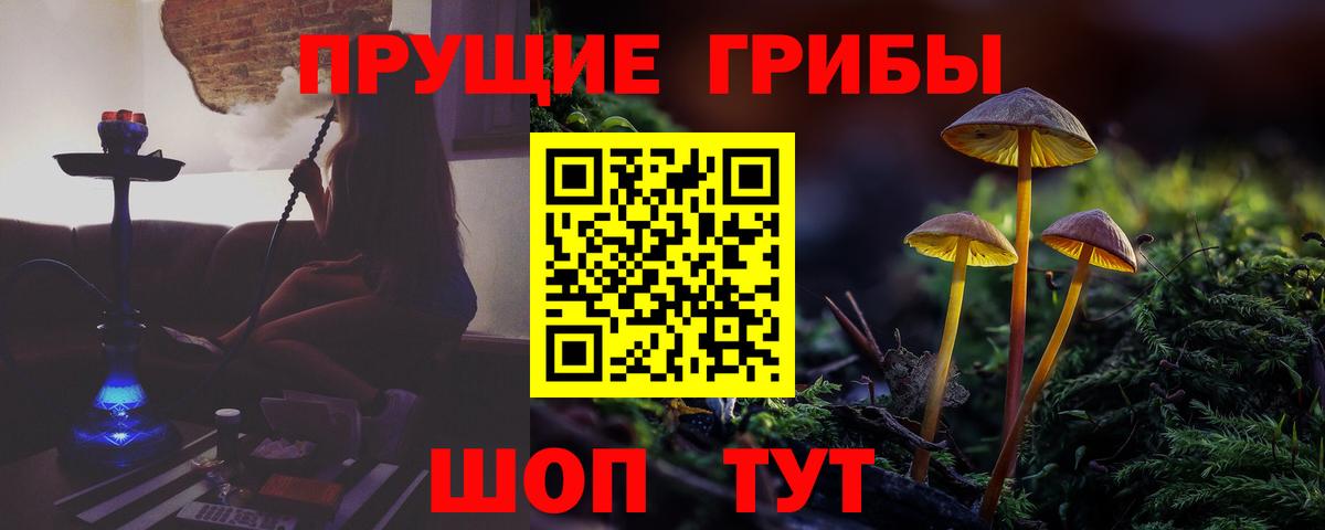 Санкт-Петербург  Галлюциногенные грибы Psilocybe  Вход с VPN 
