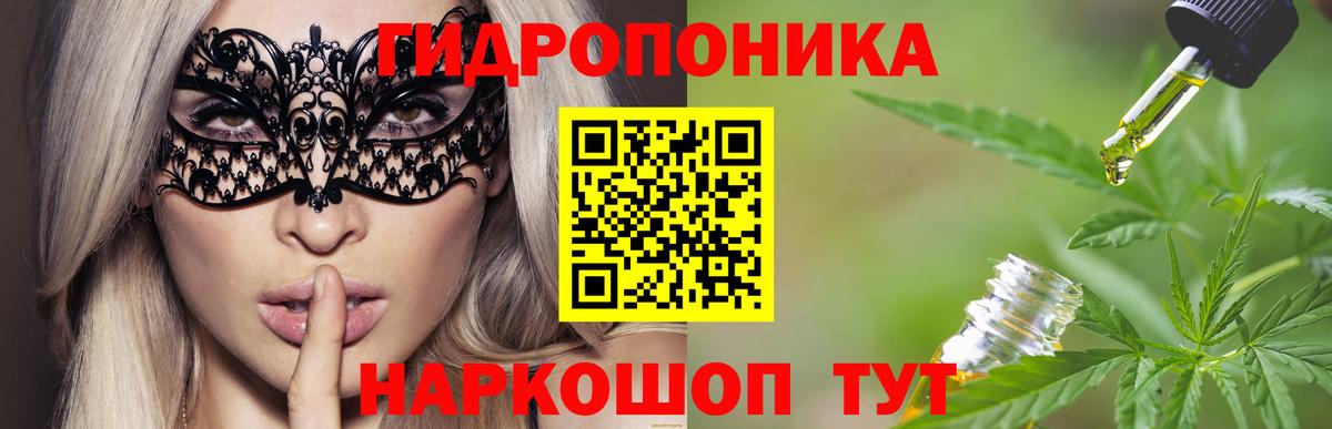 Конопля ГИДРОПОН Санкт-Петербург